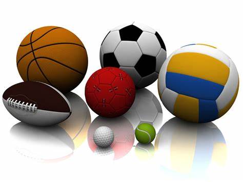 体育交流成 体育交流成