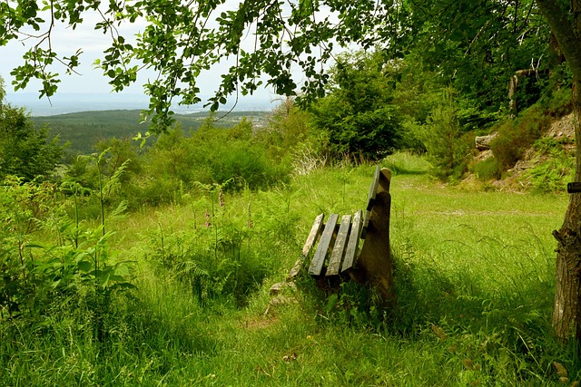 一次進攻機 一次進攻機